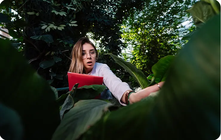 Carbon neutral business focus forests give back