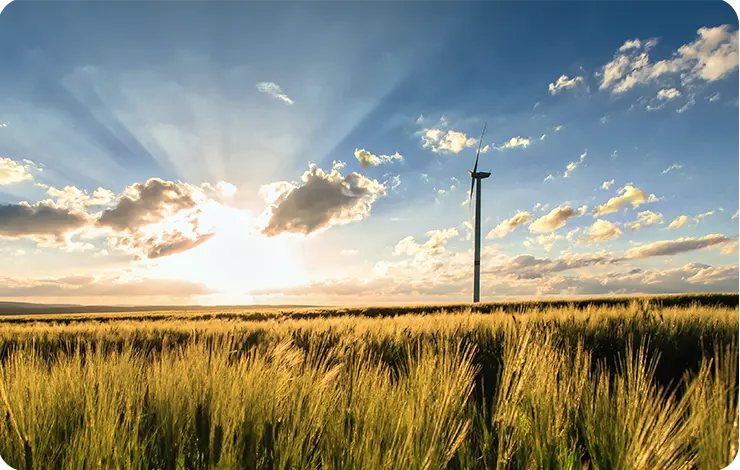 Climate energy biodiversity regional approach best