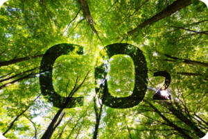 Visuel décarbonation et transition écologique bord rond