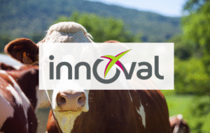 Innoval