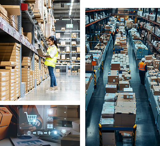 Grande Distribution et E-Commerce