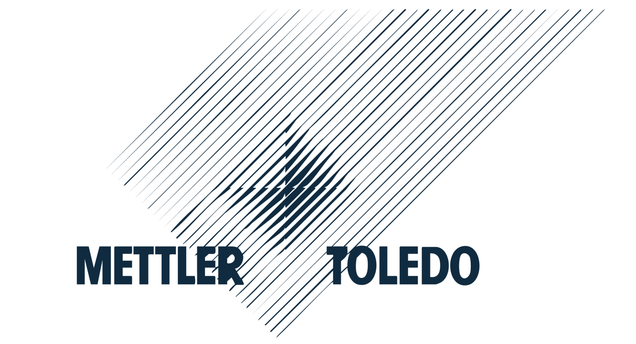 Logo Mettler-Toledo