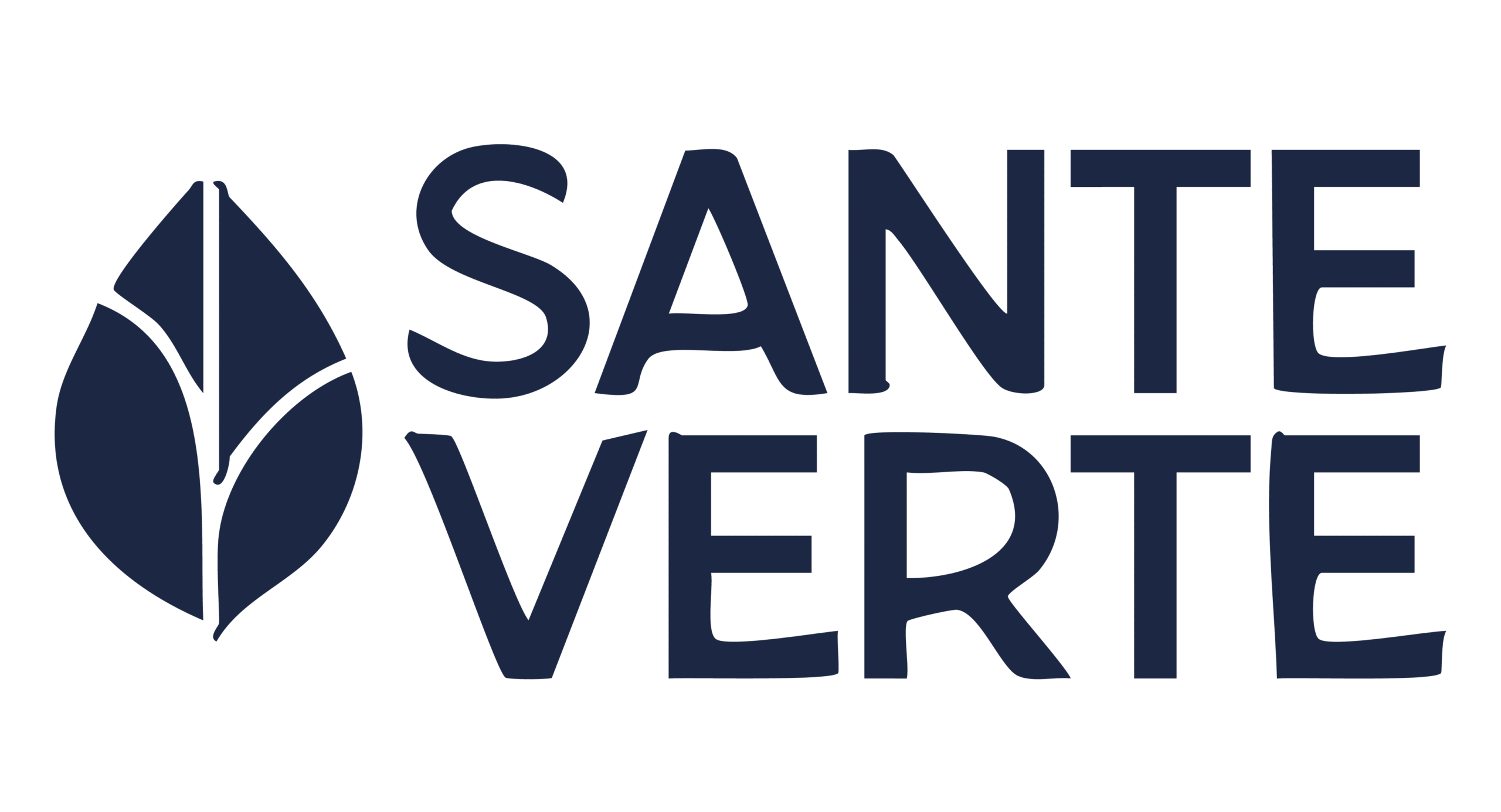 Logos_Santé verte